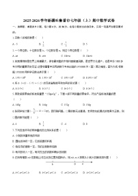2025-2026学年新疆吐鲁番市七年级（上）期中数学试卷-自定义类型