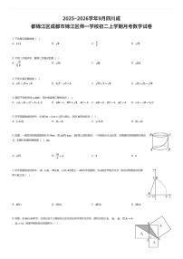 2025~2026学年9月四川成都锦江区成都市锦江区师一学校初二上学期月考数学试卷（有答案解析）