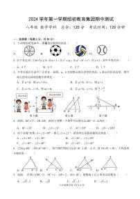 浙江省绍兴市第一初级中学教育集团2024-2025学年八年级上学期期中数学试卷+答案