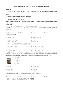 精品解析： 河南省焦作市中站区2023-2024学年八年级上学期期中考试数学试题含答案