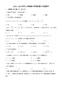 精品解析：河南省郑州市回民中学2024-2025学年八年级上学期期中考试数学试卷含答案