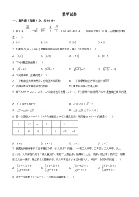 精品解析：河南省郑州市第八十六中学2024-2025学年八年级上学期期中考试数学试题含答案