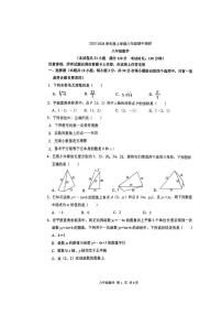辽宁省锦州市实验学校2025—2026学年上学期八年级期中数学试卷