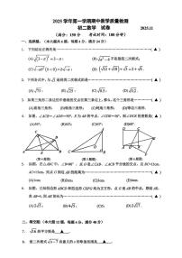 上海市民办华曜浦东实验学校2025--2026学年八年级数学上学期期中考试卷