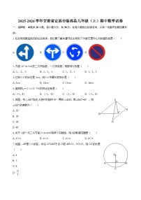 2025-2026学年甘肃省定西市临洮县九年级（上）期中数学试卷-自定义类型