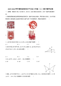 2025-2026学年青海省海东市平安区八年级（上）期中数学试卷-自定义类型