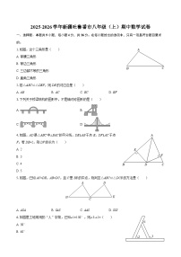 2025-2026学年新疆吐鲁番市八年级（上）期中数学试卷-自定义类型