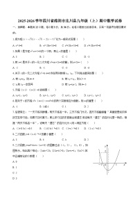 2025-2026学年四川省绵阳市北川县九年级（上）期中数学试卷-自定义类型