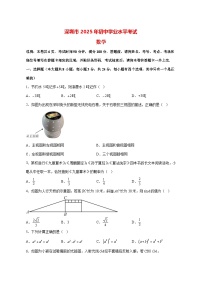 【中考数学】2025年广东省深圳市试卷 【附解析】