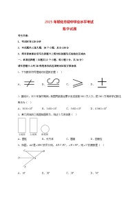 【中考数学】2025年黑龙江省绥化市试卷【附解析】