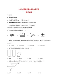【中考数学】2025年黑龙江省绥化市试卷【附解析】