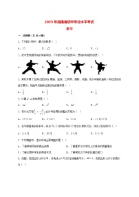 【中考数学】2025年湖南省真题试卷【附解析】