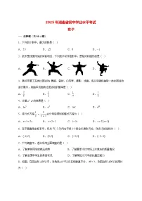【中考数学】2025年湖南省真题试卷【附解析】