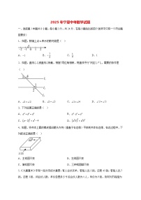 【中考数学】2025年宁夏试卷【附解析】
