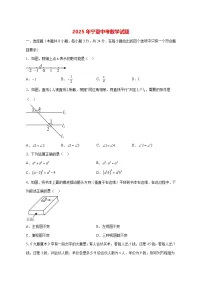 【中考数学】2025年宁夏试卷【附解析】