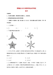 【中考数学】2025年青海省试卷【附解析】