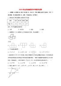 【中考数学】2025年山东省威海市真题试卷【附解析】