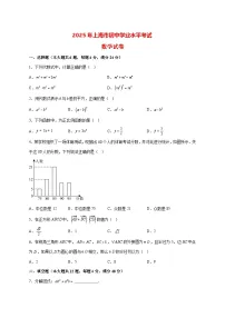 【中考数学】2025年上海市真题试卷试卷【附解析】