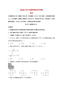 【中考数学】2025年四川省乐山市试卷【附解析】
