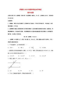 【中考数学】2025年四川省泸州市试卷【附解析】