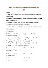 【中考数学】2025年四川省宜宾市试卷【附解析】