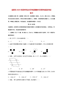 【中考数学】2025年四川省自贡市试卷【附解析】