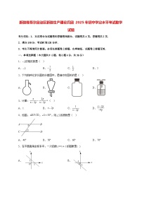 【中考数学】2025年新疆维吾尔族自治区试卷【附解析】