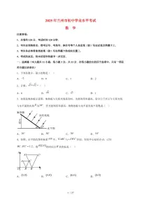 2025年甘肃省兰州市【中考数学】试题（含解析）