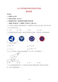 2025年黑龙江省齐齐哈尔市【中考数学】试题（含解析）