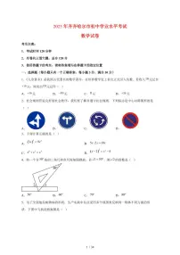 2025年黑龙江省齐齐哈尔市【中考数学】试题(含解析)