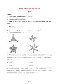 2025年青海省【中考数学】试题（含解析）