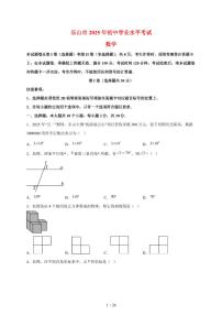 2025年四川省乐山市【中考数学】试题（含解析）