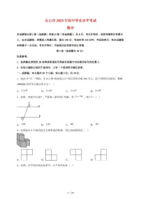 2025年四川省乐山市【中考数学】试题（含解析）