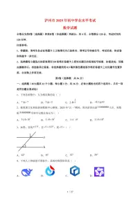2025年四川省泸州市【中考数学】试题（含解析）