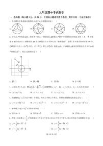 河南省周口市商水县希望初级中学2025-2026学年九年级上学期11月期中数学试卷及答案