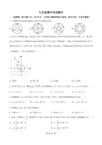 河南省周口市商水县希望初级中学2025-2026学年九年级上学期11月期中数学试卷及答案