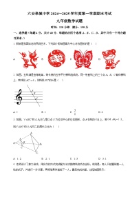 安徽省六安皋城中学九年级上学期1月期末考试数学试题（原卷版）-A4