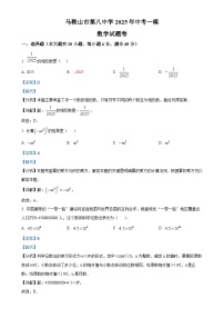 安徽省马鞍山第八中学2025年中考一模数学试卷（解析版）-A4
