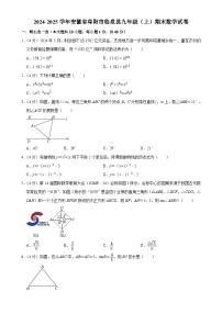 安徽省阜阳市临泉县2024-2025学年九年级上学期期末数学试卷-A4