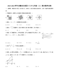 安徽省合肥市第四十八中学2023-2024学年九年级上学期期末数学试卷-A4