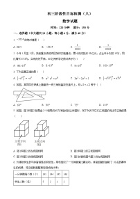 安徽省六安市金安区六安皋城中学九年级下学期月考数学试题（原卷版）-A4