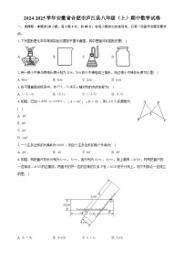 安徽省合肥市庐江县2024-2025学年八年级上学期期中数学试卷-A4