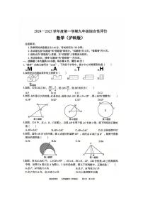 安徽省淮北市部分学校2024-2025学年九年级上学期1月期末数学（沪科版）试卷