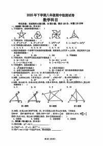 湖南省长沙市雅礼教育集团联考2025-2026学年八年级上学期11月期中数学试题