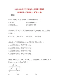 2025—2026学年九年级数学上册期中模拟卷（安徽专用，沪科版第21章-第22章）-附解析
