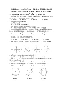 浙教版2025—2026学年九年级上册数学11月份期中考试模拟卷