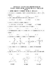 北师大版2025—2026学年八年级上册数学期中考试复习卷