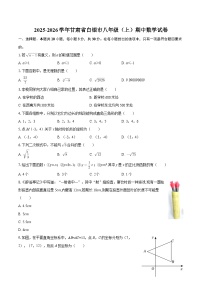 2025-2026学年甘肃省白银市八年级（上）期中数学试卷-自定义类型