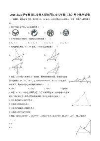 2025-2026学年黑龙江省佳木斯市同江市八年级（上）期中数学试卷-自定义类型