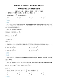 安徽省皖东南四校上学期九年级期末考试数学试题（解析版）-A4